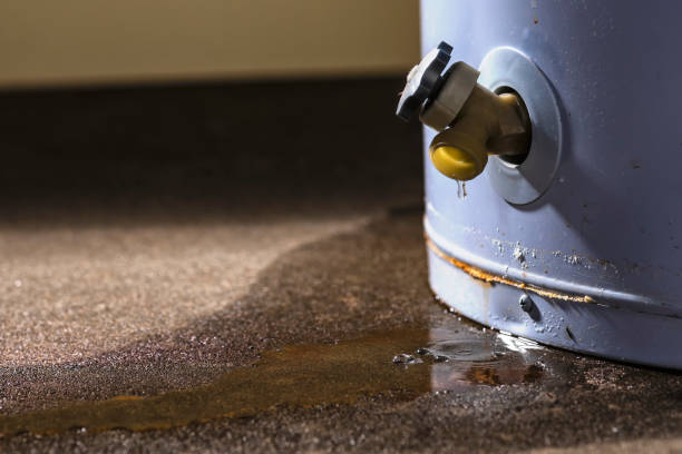 Best Flooded house restoration  in Gonzales, CA