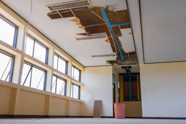 Best Water damage contractors near me  in Gonzales, CA