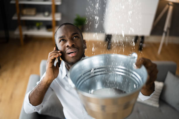 Best Local water damage restoration  in Gonzales, CA
