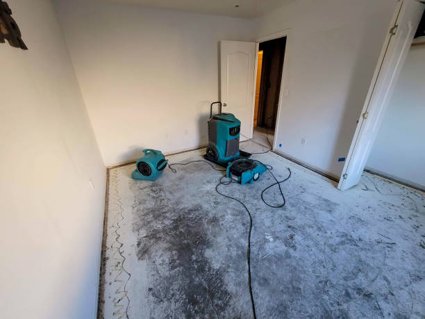 Best Flood damage cleanup  in Gonzales, CA