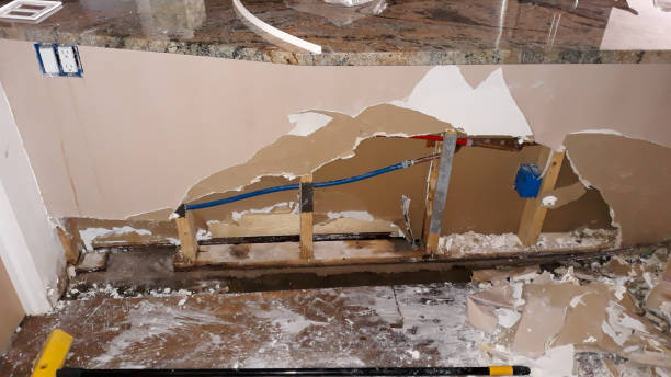 Best Mold removal after water damage  in Gonzales, CA