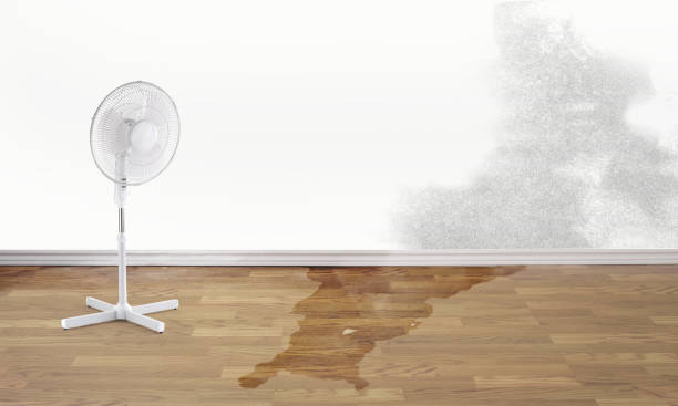 Best Commercial water damage restoration  in Gonzales, CA