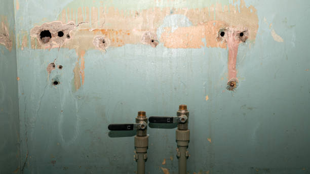 Best Flooded house restoration  in Gonzales, CA