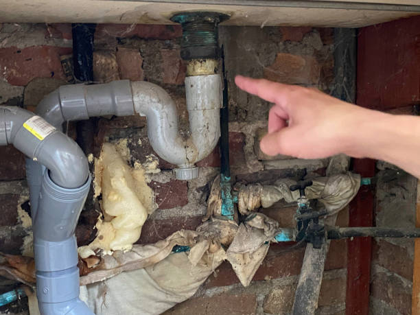 Best Water damage restoration company  in Gonzales, CA
