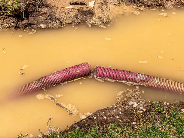  Gonzales, CA Water damage restoration Pros
