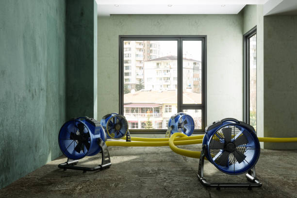 Best Basement water damage restoration  in Gonzales, CA